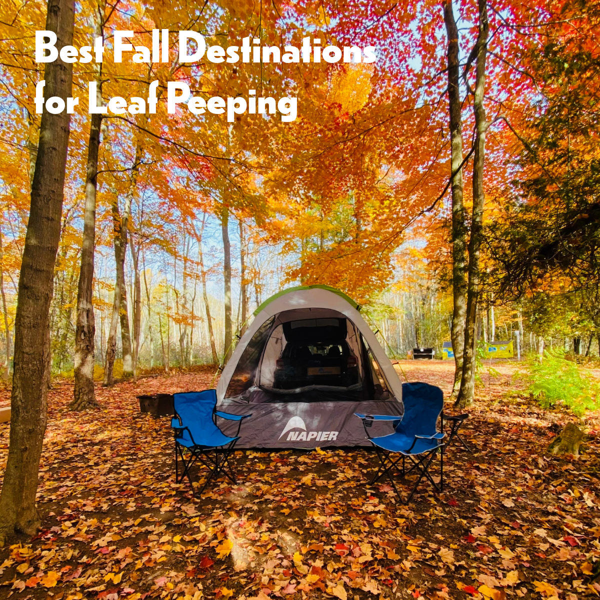 Fall season leafs with the Backroadz Tent