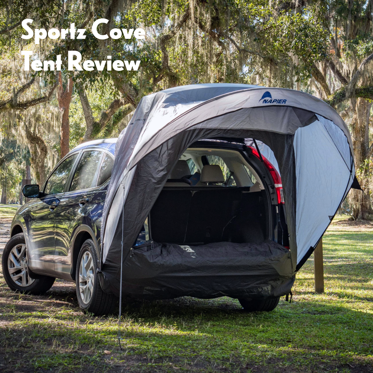 Sportz Cove