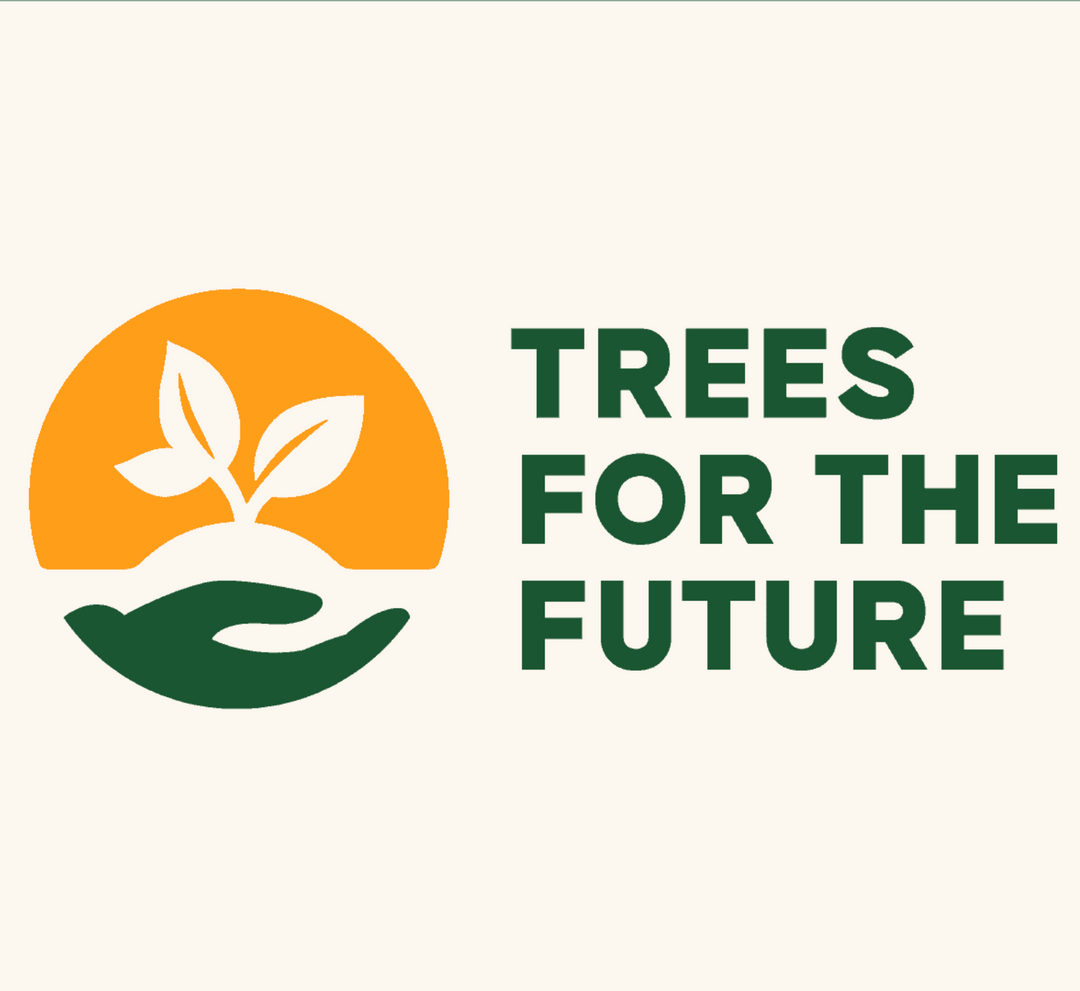 Plant a Tree Today